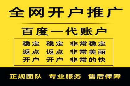 大型SEM服务公司案例分析